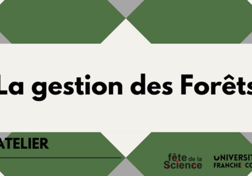 La Gestion des Forêts La Gestion des Forêts