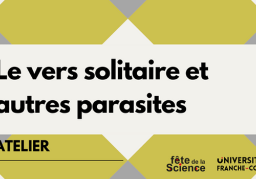 Le vers solitaire et autres parasites