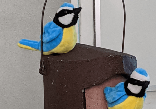 Mésanges bleues - marionnettes sur un nichoir