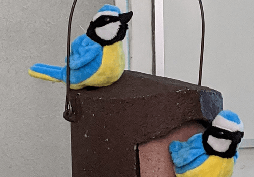 Une Mésange passe Mésanges bleues - marionnettes sur un nichoir