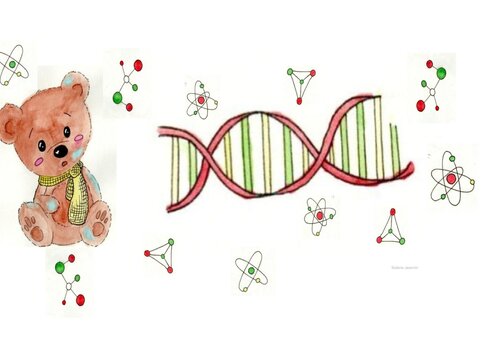 Dessin Ours en peluche et molécule d'ADN