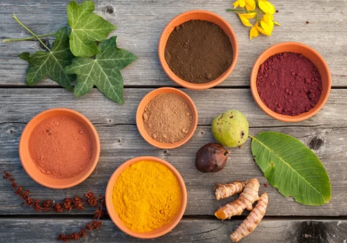Des plantes et des couleurs ! Des plantes et des couleurs !