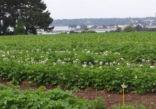 INRAE - Institut National de Recherche pour l'Agriculture, l'Alimentation et l'Environnement.