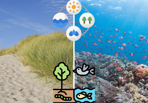 © Canva - Association Musée du Sable