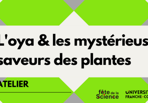 L'oya & Les mystèrieuses saveurs des plantes L'oya & Les mystèrieuses saveurs des plantes