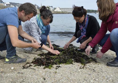 Atelier scolaire proposé par le Village des Sciences de Concarneau