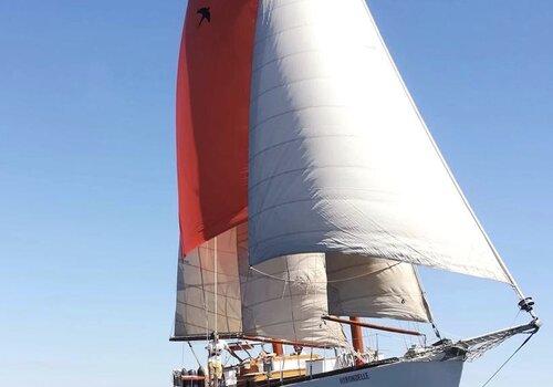 l'Association Sailing Hirondelle Voilier Hirondelle