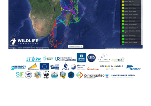 cartographie des trajets effectués par les tortues marquées dans le programme STORM + logos des partenaires