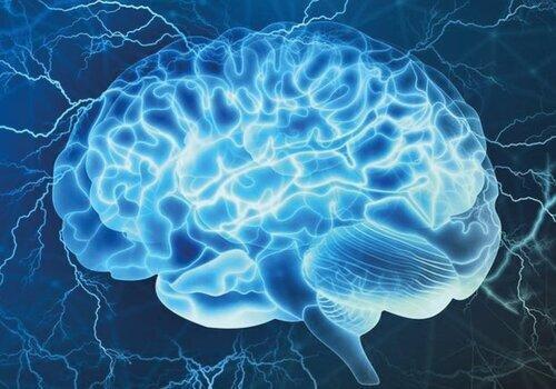 Rendez-vous avec un chercheur en neurosciences Rendez-vous avec un chercheur en neurosciences