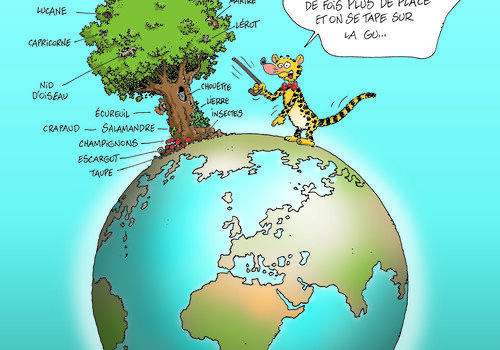 L'arbre, un habitat pour de nombreuses espèces