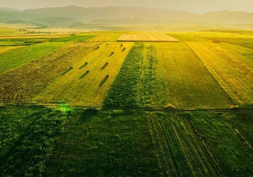 champ-agriculture-vue-drone