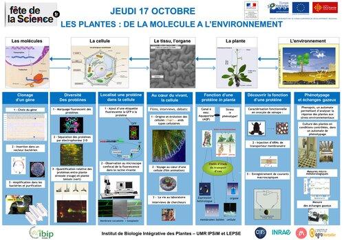 L'objectif est de montrer comment un ensemble de technologies complémentaires s'organise dans une démarche cohérente pour cloner un gène, découvrir la fonction de la protéine qu'il code, localiser les sites de son expression dans la plante, déterminer les conditions de cette expression, et enfin caractériser la fonction physiologique et le phénotype qui en résultent pour la plante.