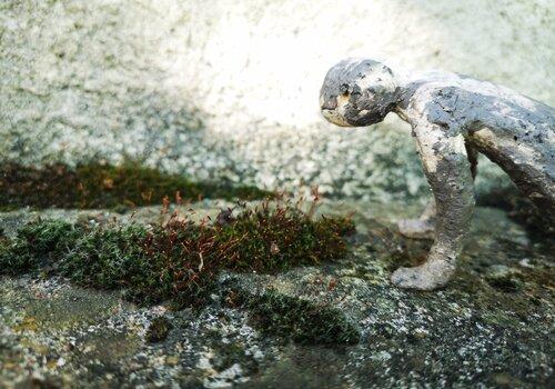Pérégrinations scientifiques et poétiques. « Mousses et lichens, des pionniers dans un monde qui change » Personnage en céramique observant une mousse