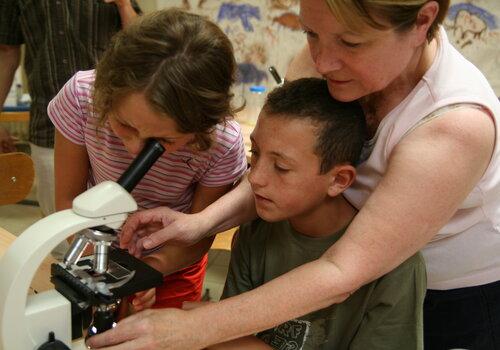 Observation en famille