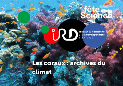  Les coraux : archives du climat