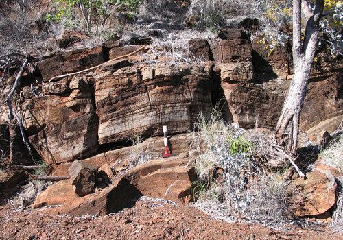 Stromatolithe d’Afrique du Sud âgé de 2,7 milliards d’années.