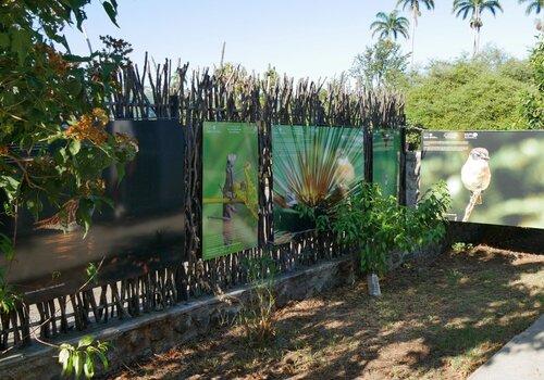 Exposition photos sur les zones humides de La Réunion