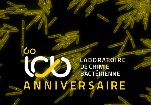 60 ans LCB