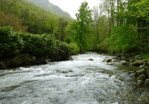 Association Nationale pour la Protection des Eaux et Rivières, Truite-Ombre-Saumon