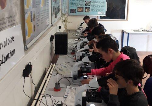 Atelier Observatoire du plancton Atelier Observatoire du plancton
