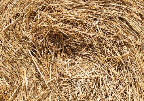 Des matériaux bio et géo sourcés pour la construction durable