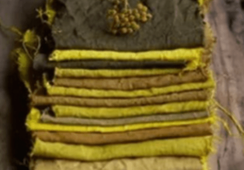 Les teintures et impressions végétales sur tissu Les teintures et impressions végétales sur tissu