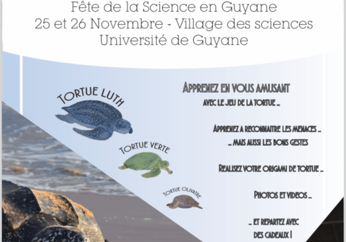 Flyer Réseau Tortues Marines Guyane