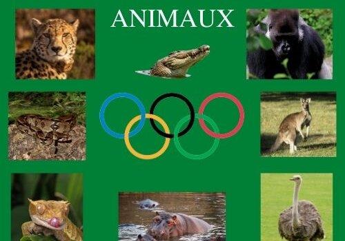 visuel "jeux olympiques des animaux"