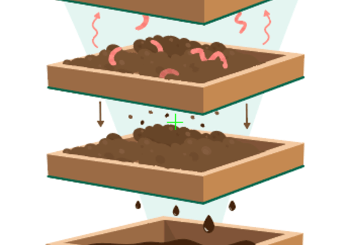 lombricompostage en étage, les vers montent étage par étage pour manger les biodéchets