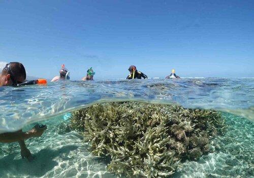 Chasse au trésor sous-marine