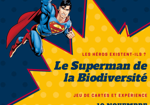 visuel "superman de la biodiversité" visuel "superman de la biodiversité"
