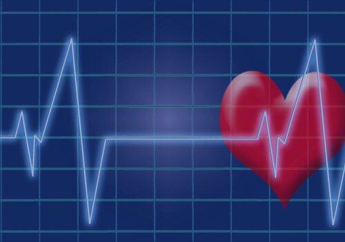 fréquence cardiaque
