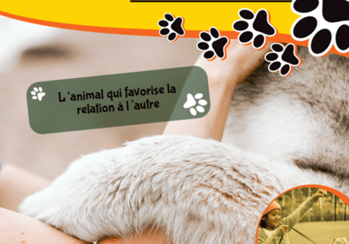 La médiation animale au lycée Professionnel I.Amelin La médiation animale a pour but de prendre en compte les effets bénéfiques procurés par la relation humain/animal pour apporter un mieux-être à 'homme.
