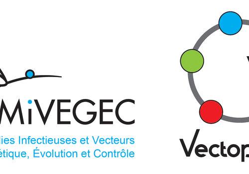 Logo unité MIVEGEC et Réseau Vectopole Sud