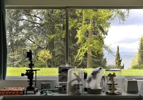 Le CARRTEL Face au Léman, l'institut de recherche est idéalement situé