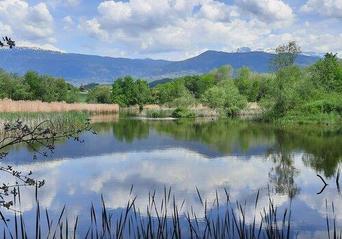 Vue panoramique de l'Etang de Haute-Jarrie Vue panoramique de l'Etang de Haute-Jarrie