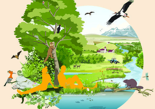 montagne en arriére plan, cours d'eau, faune et flore