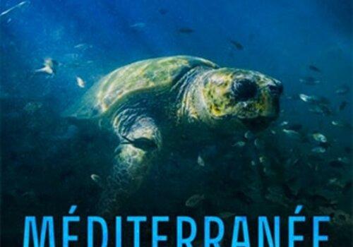 Méditerranée : l’odyssée de la vie