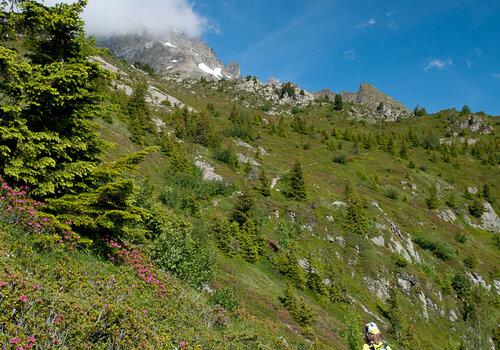 Chemin de randonnée