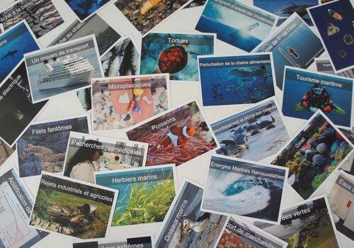 Quelques cartes du jeu de la Fresque Océane