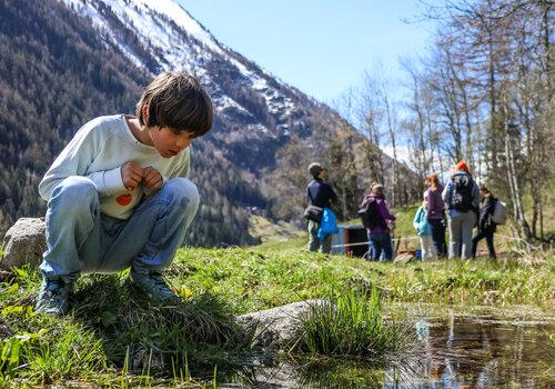 Suivi des têtards de grenouille rousse à Vallorcine (74) FDF Centre-Est x CREA Mont-Blanc - ┬® Justine Peilley Photographie-47