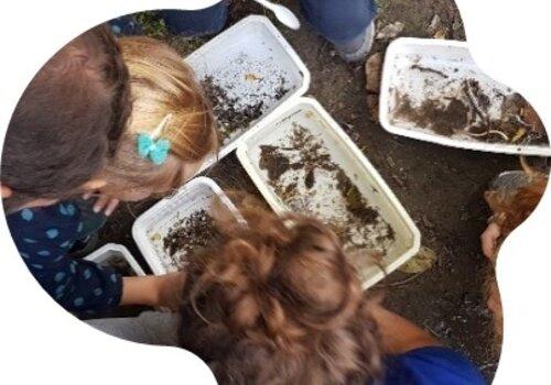 Biodiversité aquatique Atelier hydrobiologie
