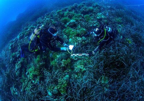 Plongée en Méditerranée, quand biodiversité et archéologie se rencontrent (photo Olivier Jude) Plongée en Méditerranée (photo Olivier Jude)