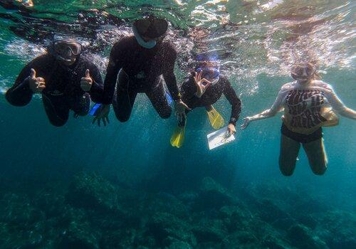 Protocole scientifique et jeunes Séance de comptage de poissons en palme-masque-tuba