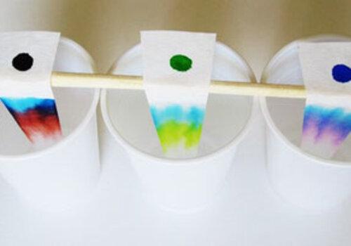 Mise en évidence des différents pigments présents dans l'encre d'un feutre.