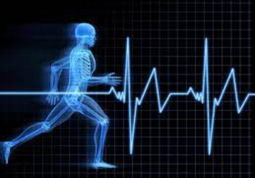 La recherche, une course vers le savoir Image d'un coureur et de rythme cardiaque