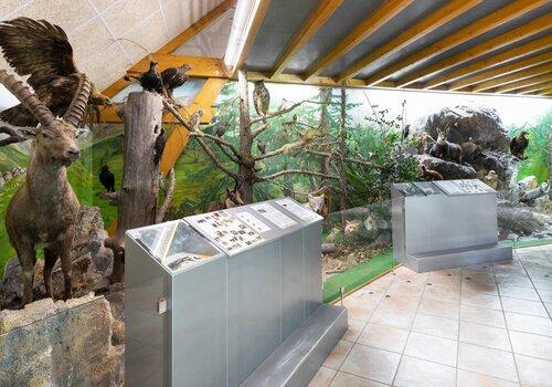 Musée avec animaux et plantes