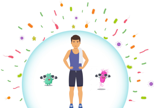 Le sport aide nos bactéries intestinales bénéfiques à nous protéger contre les mauvais microbes