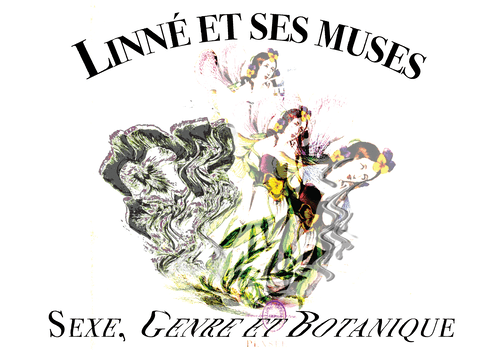 Linné et ses muses : sexe, genre et botanique aux XVIIIe et XIXe siècles Linné et ses muses : sexe, genre et botanique aux XVIIIe et XIXe siècles