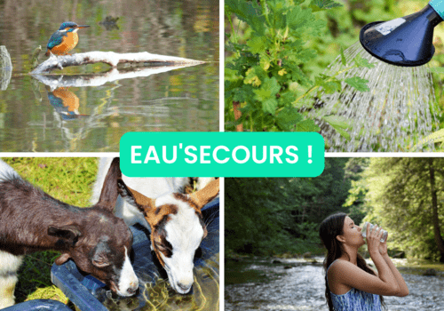 Des usages de l'eau, à partager : biodiversité, humains, agriculture...